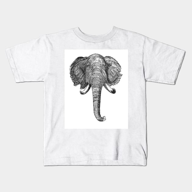 Vintage Elephant Head Illustration (1872) Kids T-Shirt by Bravuramedia